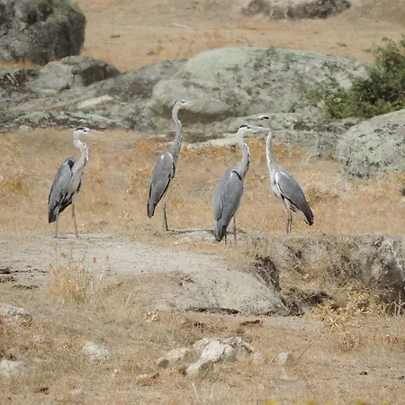 Barbancho Apartament