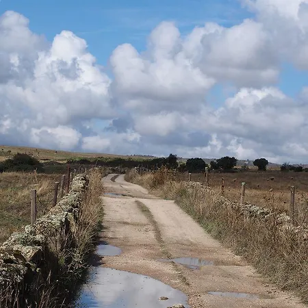 Barbancho Apartment *