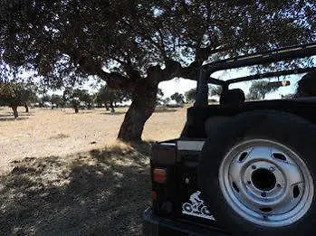 Barbancho Apartament Casar de Cáceres