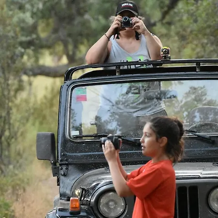 Barbancho Apartament