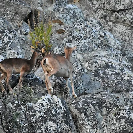 Barbancho * Casar de Cáceres