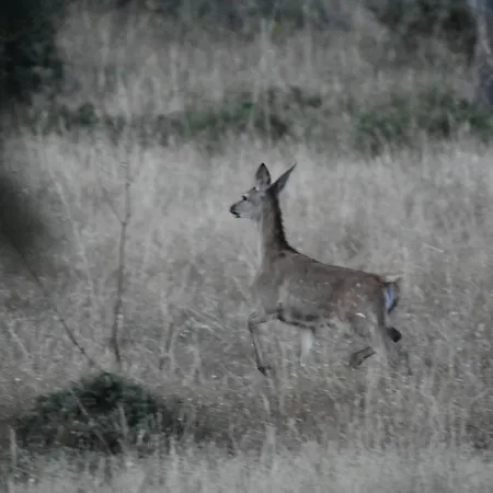 Barbancho Apartament Casar de Cáceres