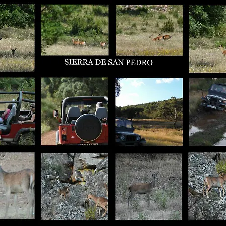 Barbancho Casar de Cáceres