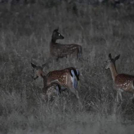 Barbancho Lejlighed Casar de Cáceres