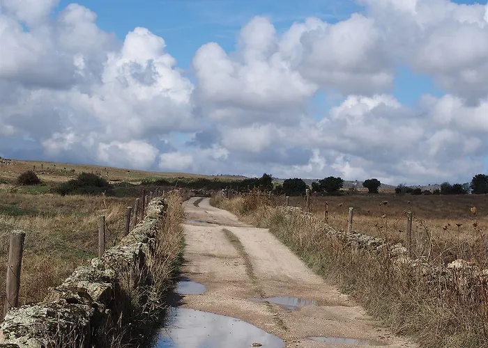 Barbancho Apartament *