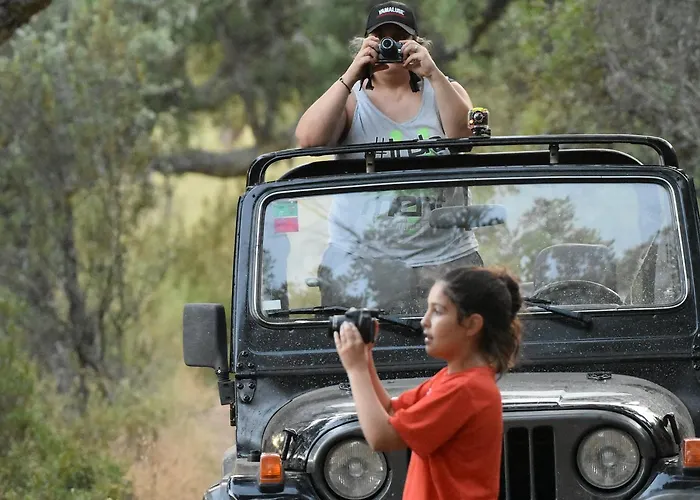 Barbancho Apartament