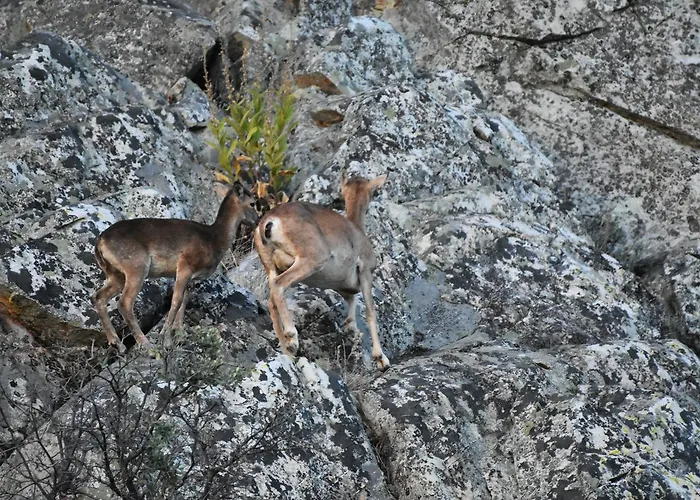 Barbancho * Casar de Cáceres