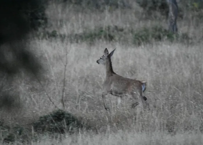 Barbancho Apartament Casar de Cáceres