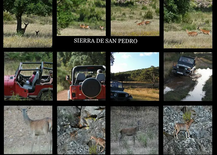 Barbancho Casar de Cáceres