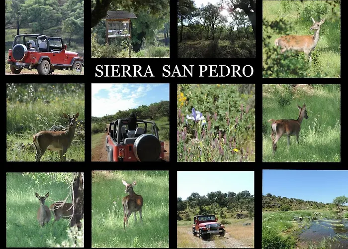 Apartment Barbancho Casar de Cáceres
